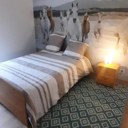 Vakantiehuis Maison 8 A 10 Personnes